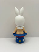 Circus Secret Rabbit