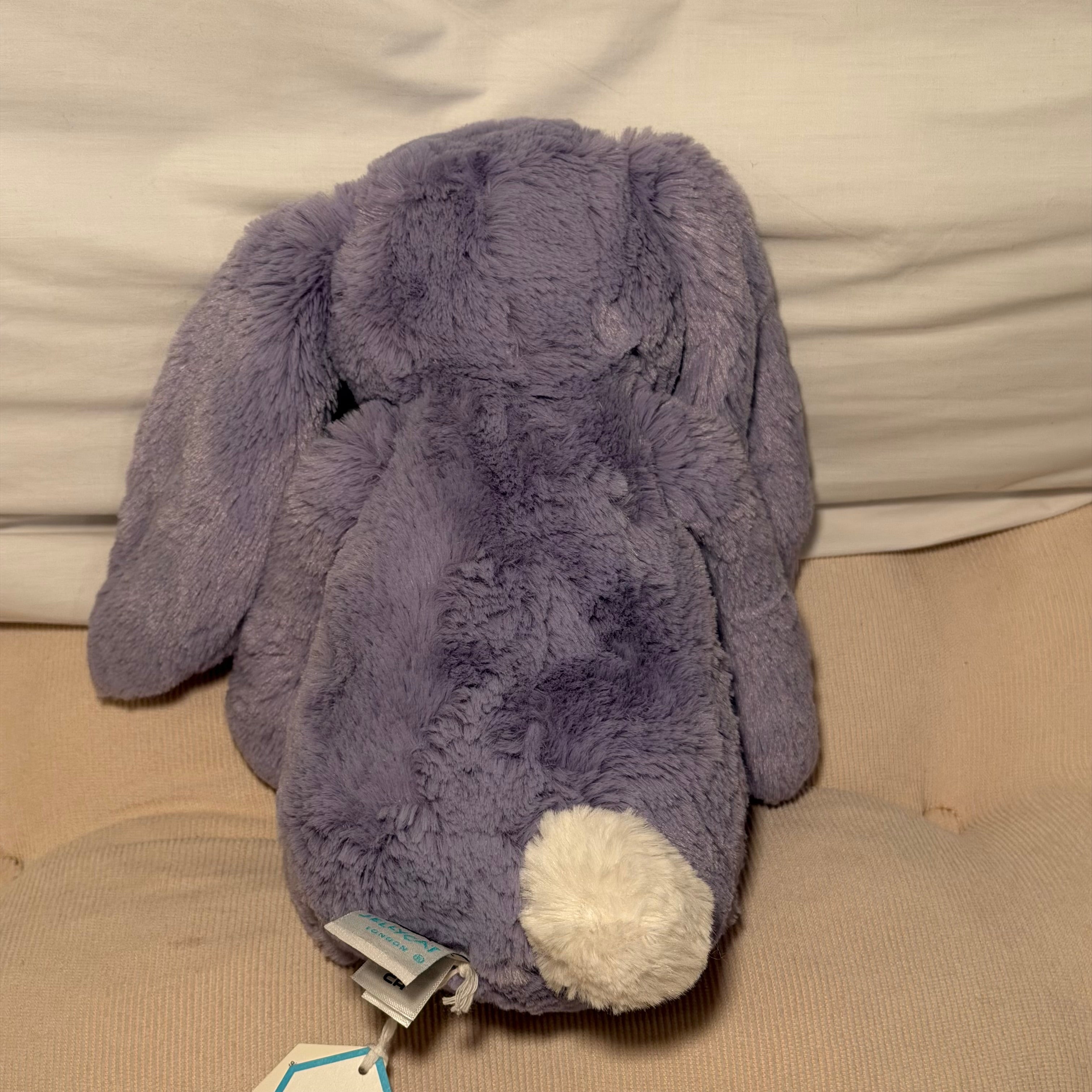 Bashful Viola Bunny