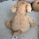 Fuddlewuddle Puppy