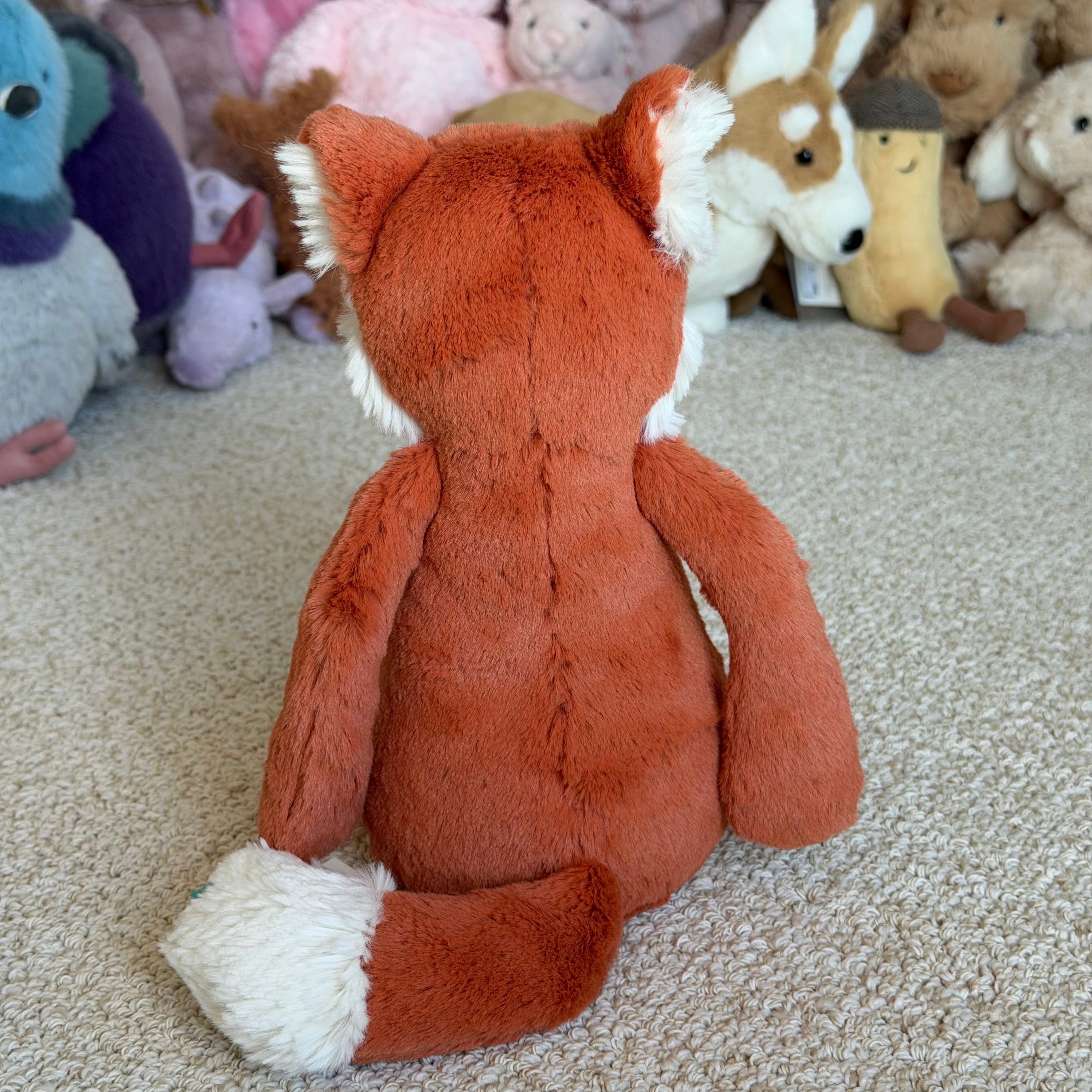 Medium Bashful Fox