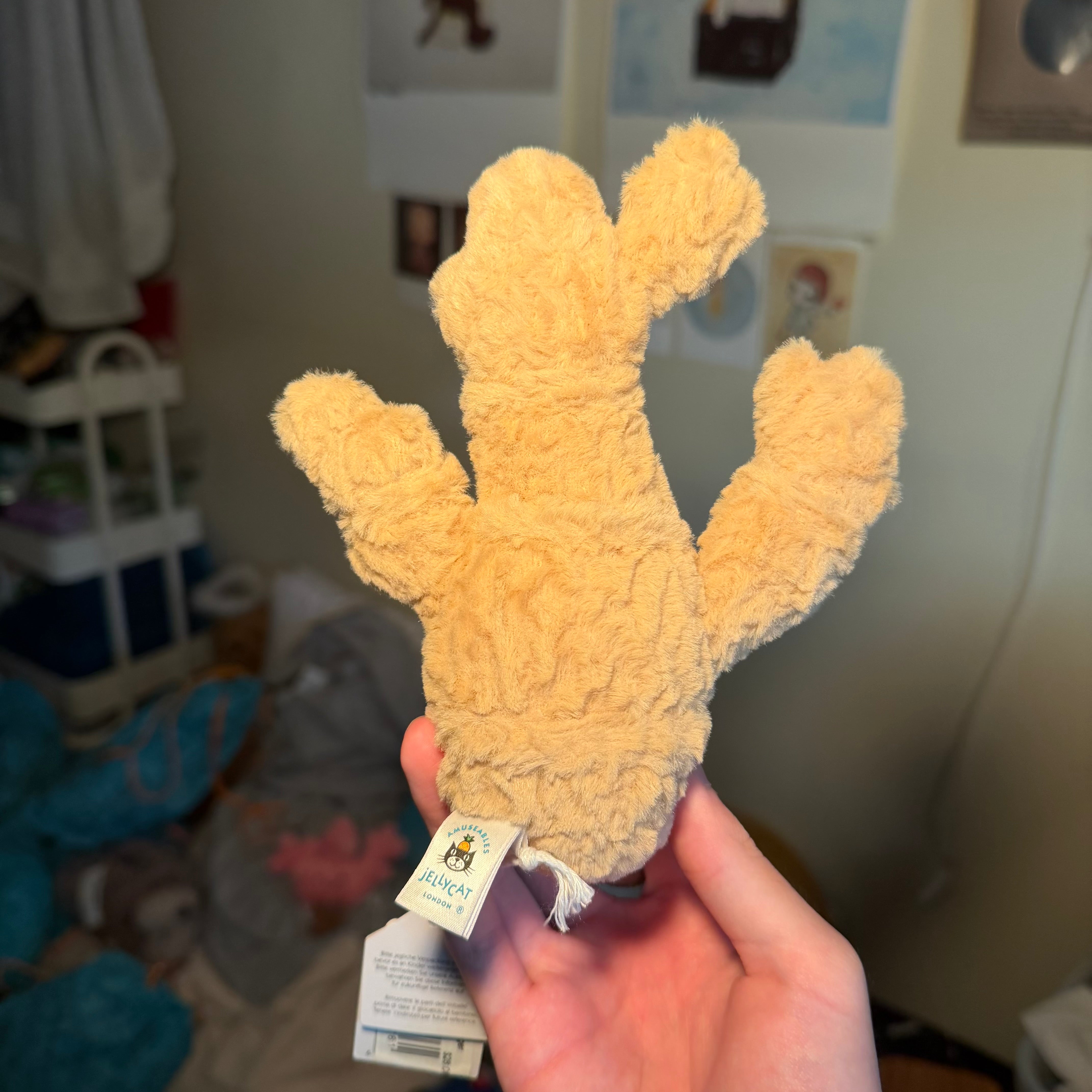 Ginger