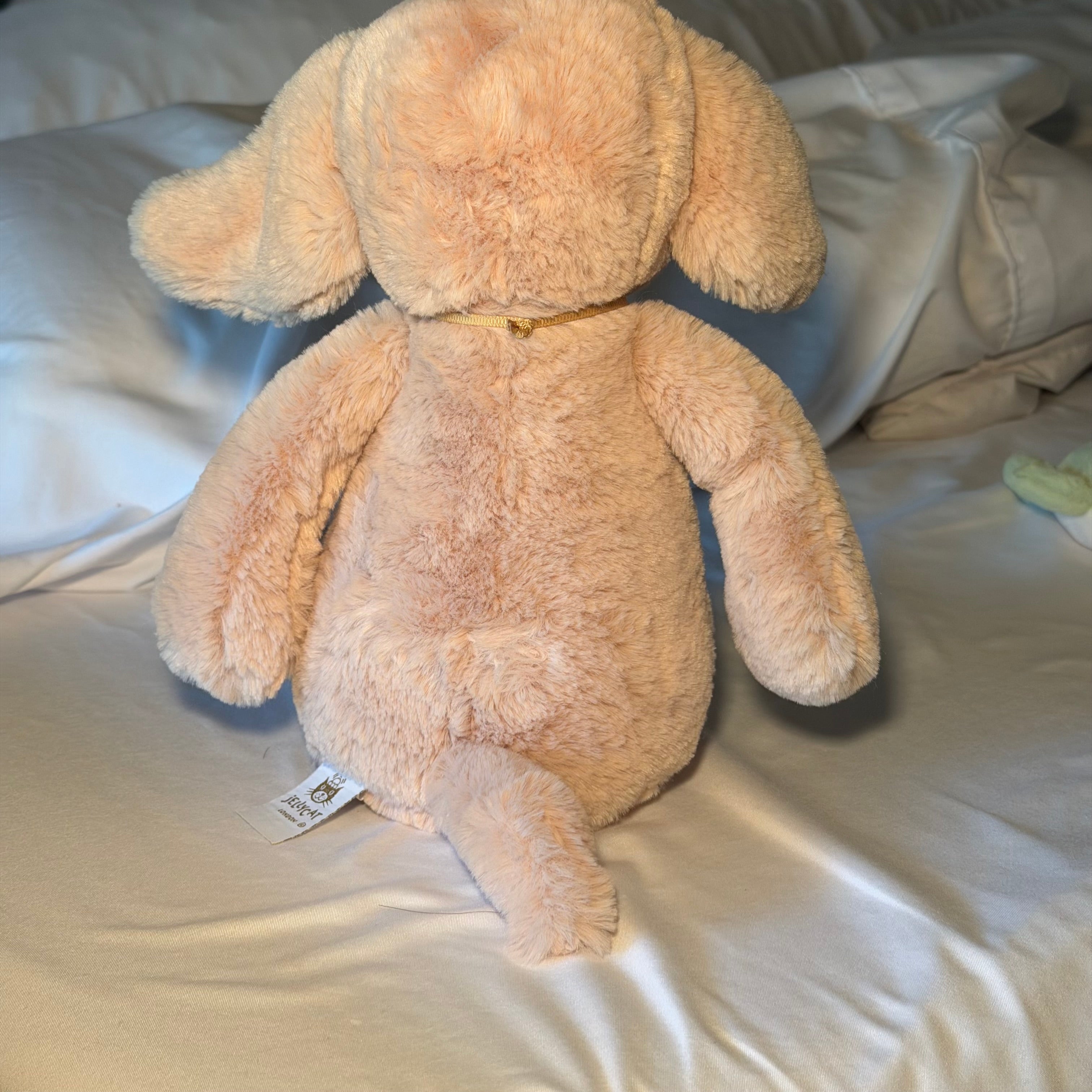 Luxe Puppy Orlando