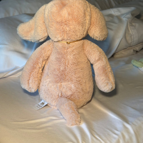Luxe Puppy Orlando