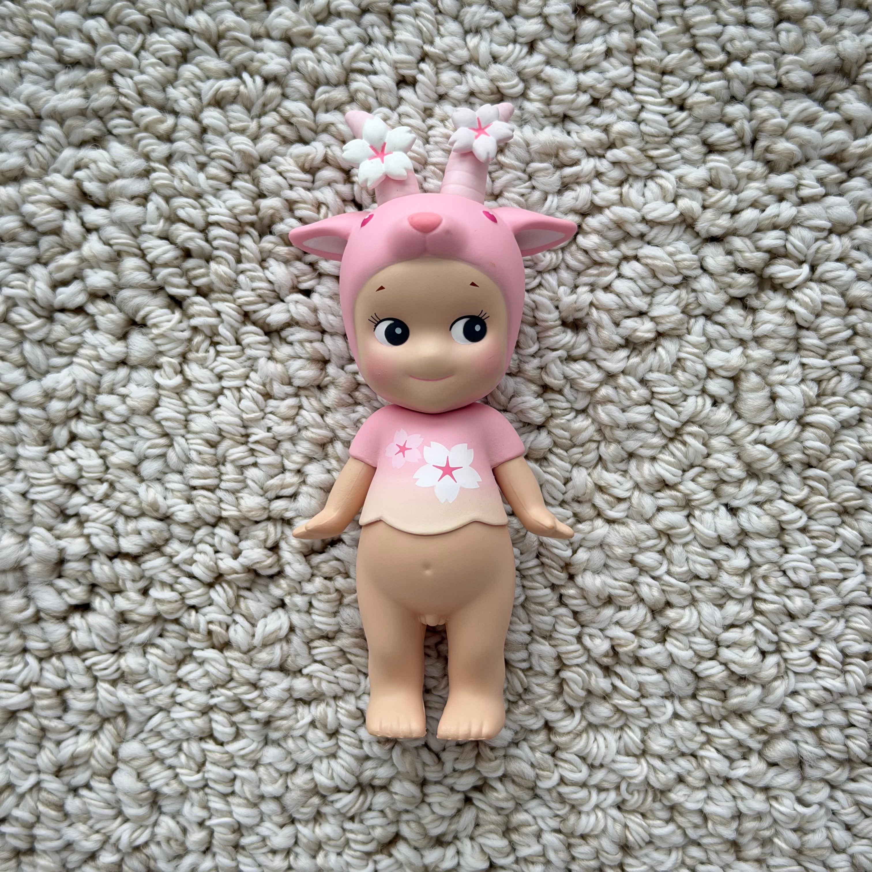 Opened Cherry Blossom 2019 Series