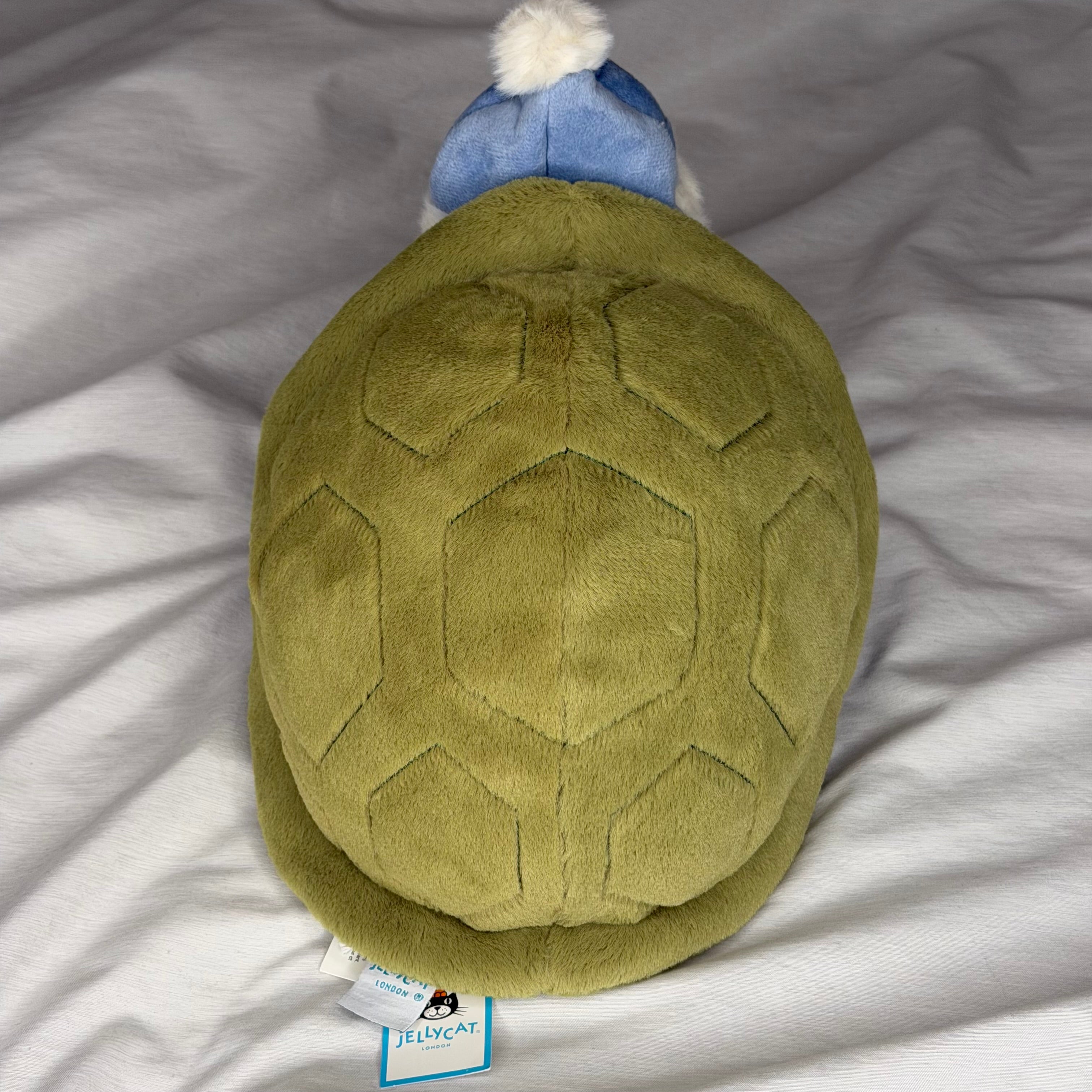 Timmy Turtle Skating