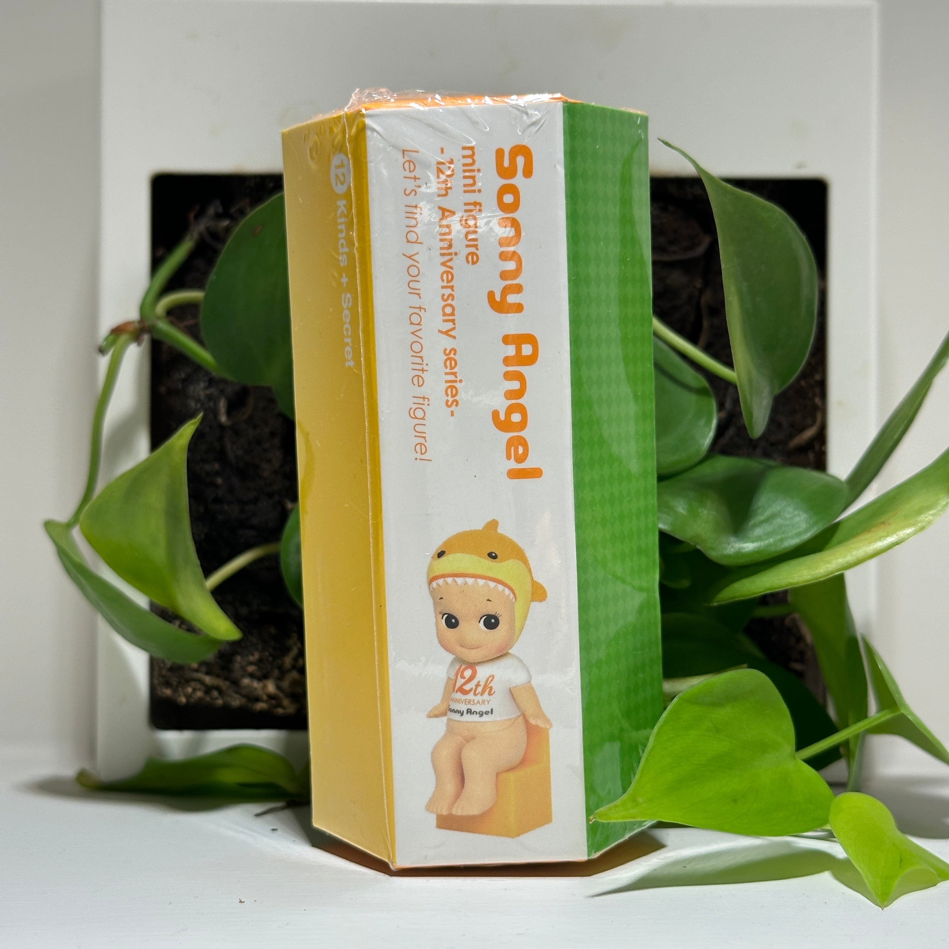 12th Anniversary Series