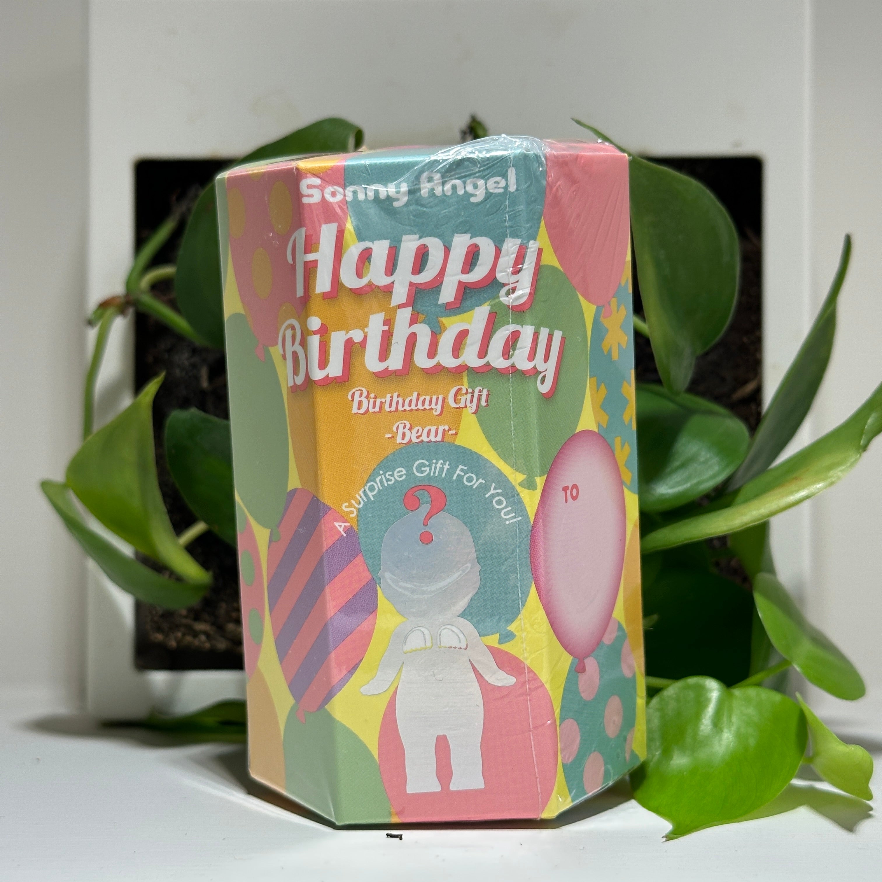 Birthday Gift Bear Series