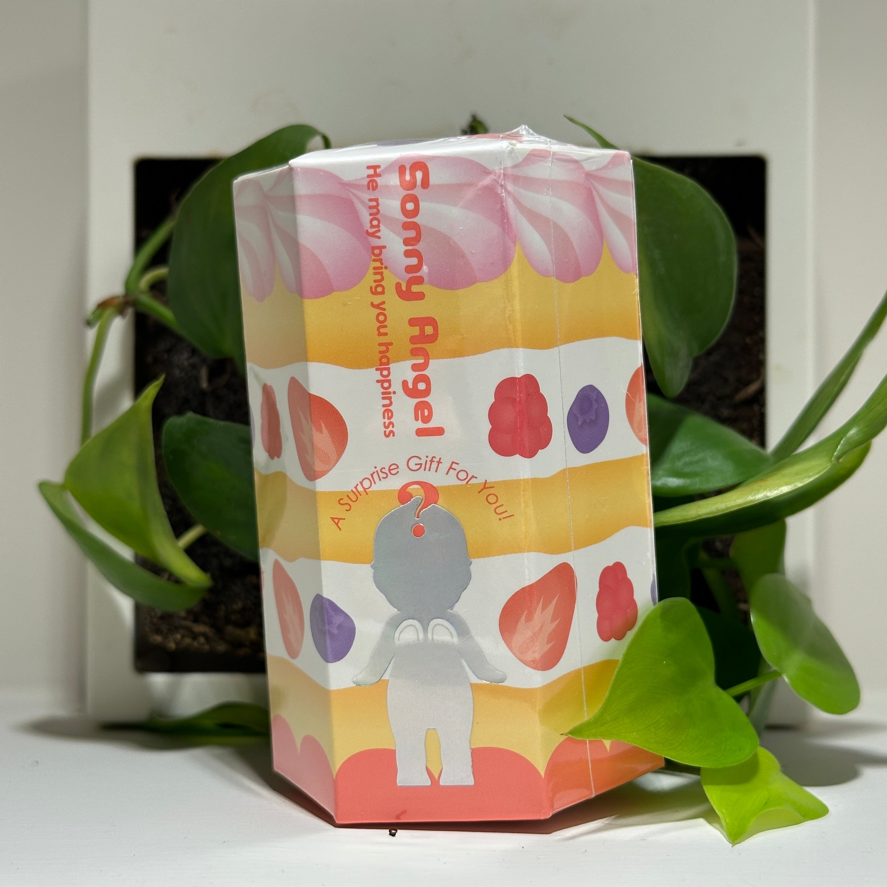 Birthday Gift Series
